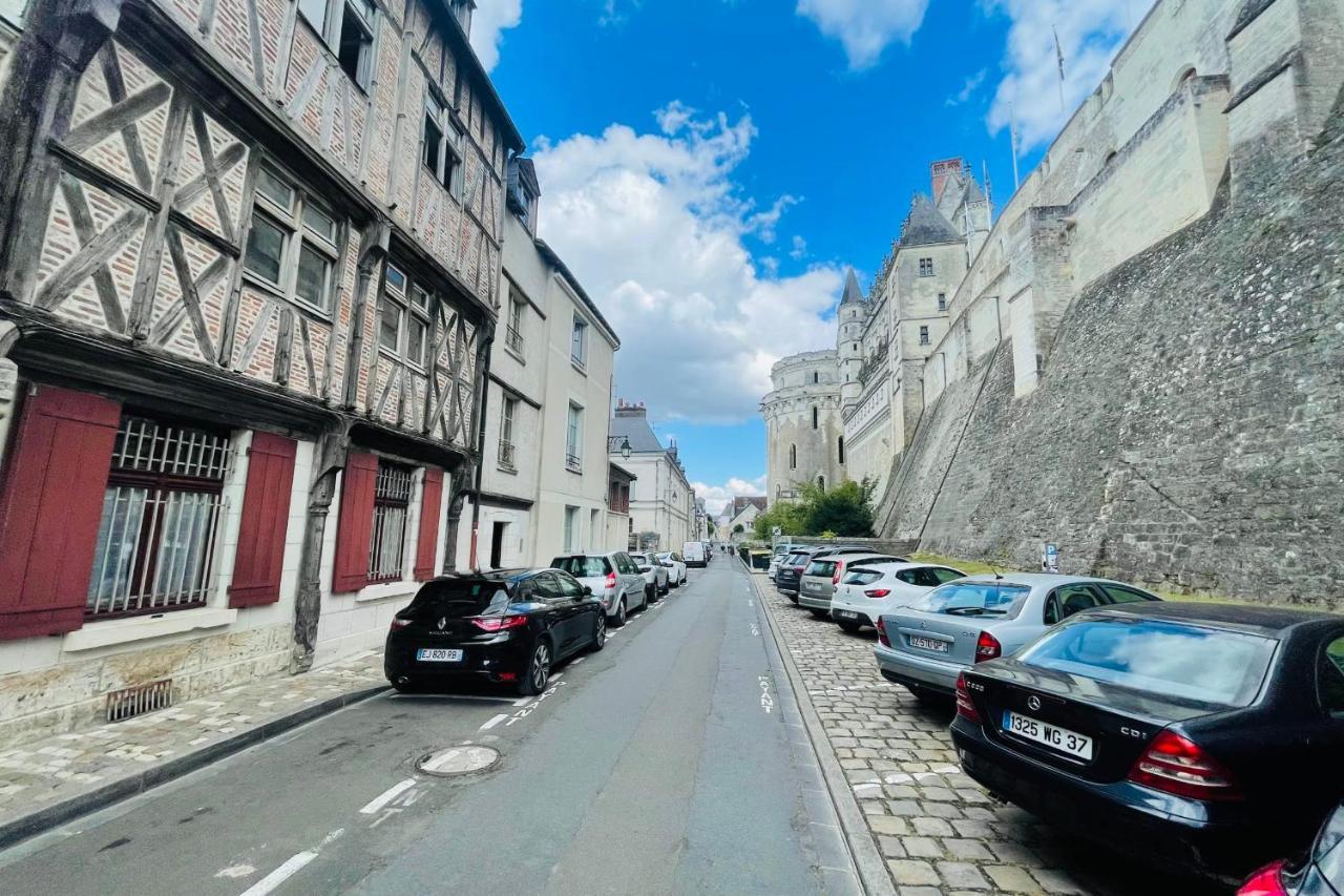 Splendid Apartment At The Foot Of The Castle Of Amboise - View Of The Loir Exterior foto